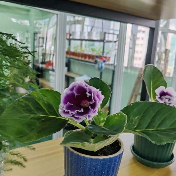 大岩洞