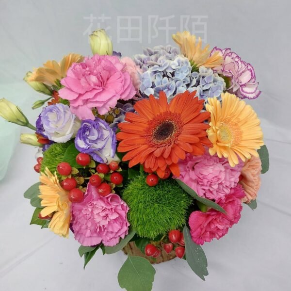 WhatsApp 圖片2025 07 2217.39.16 98b39a85