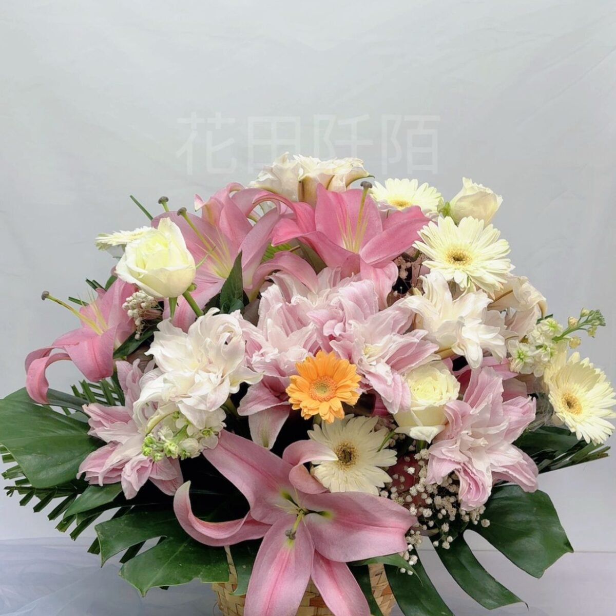 百合籃花