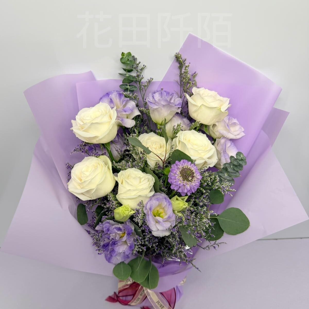 IMG 20251103 WA0091