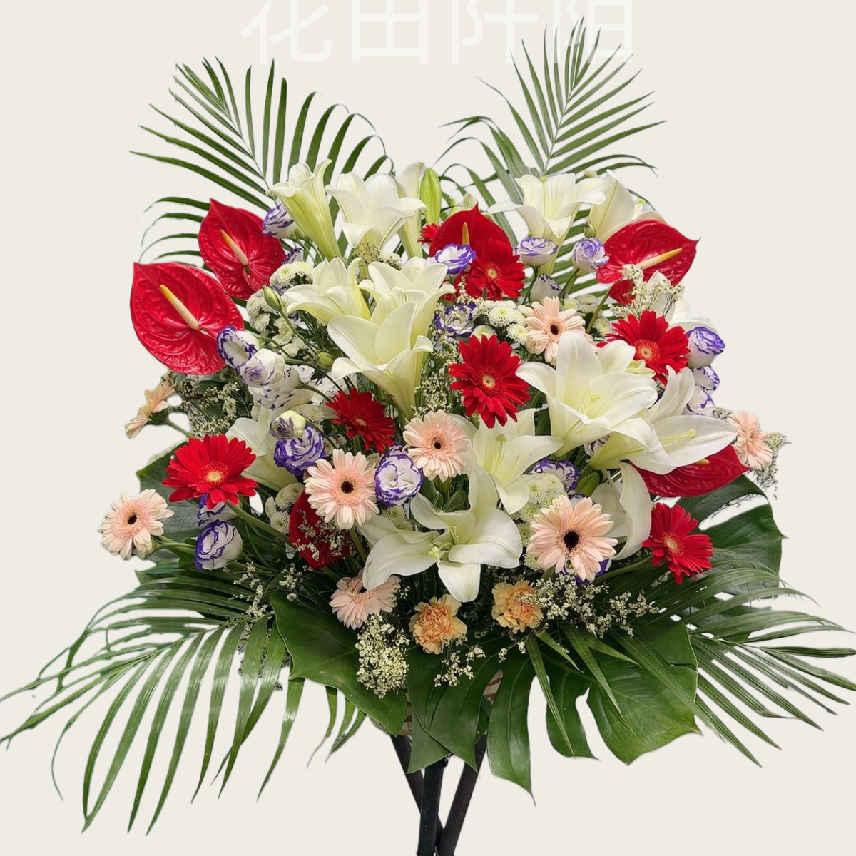 貴客盈門紅掌百合大型花籃