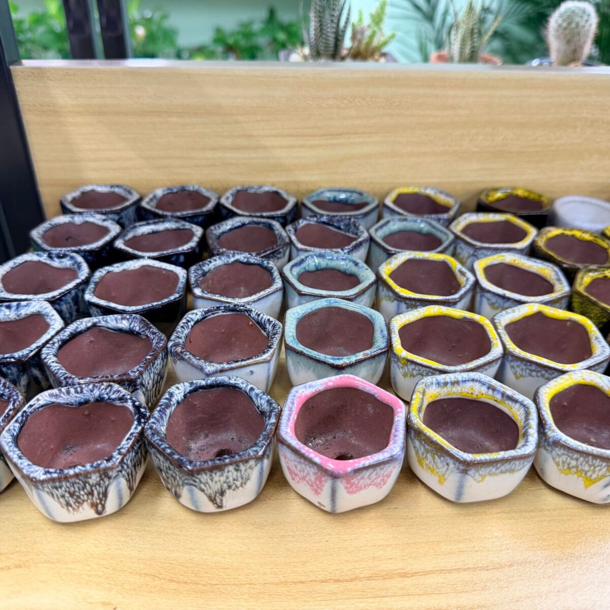 小花盆