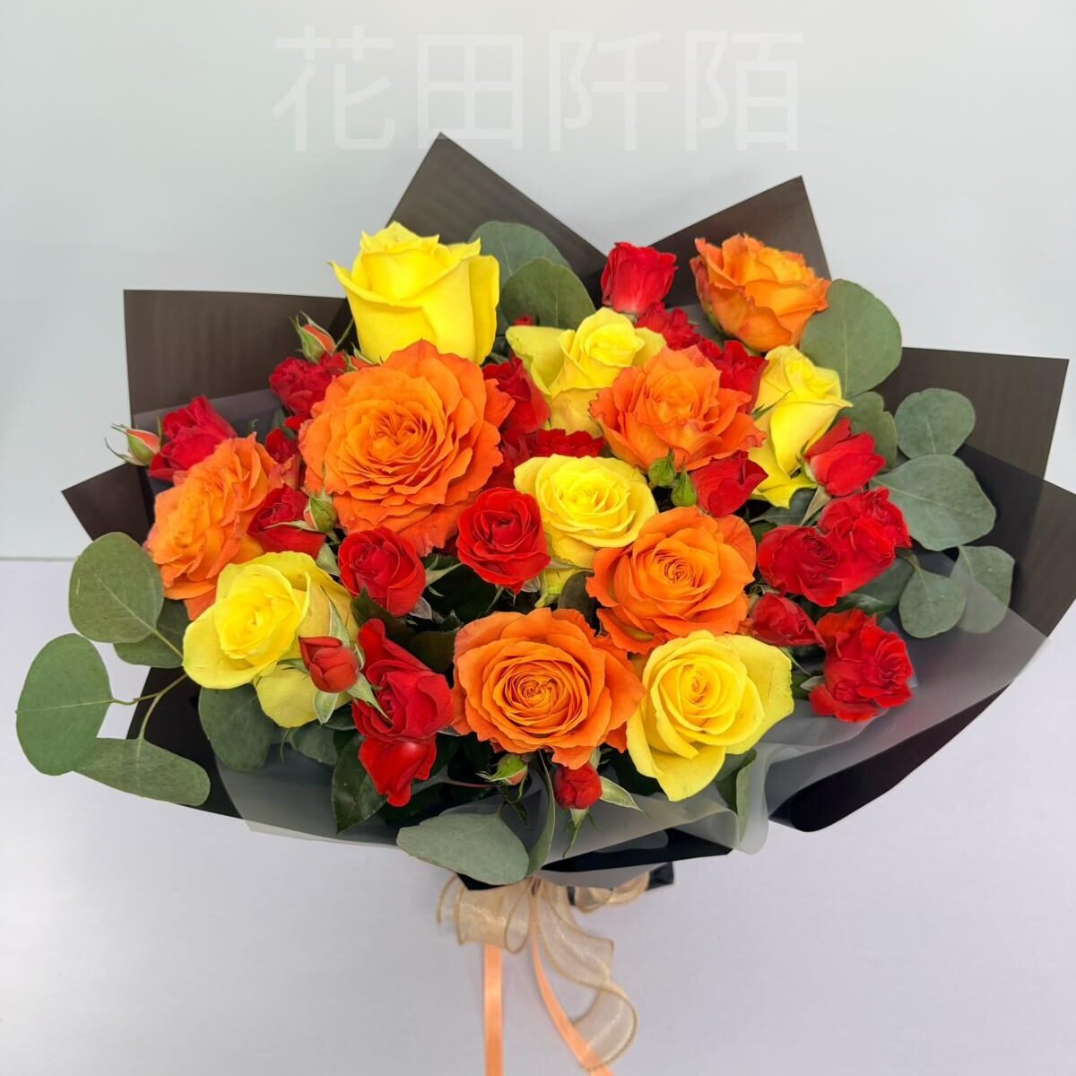 WhatsApp 圖片2025 11 0509.31.54 133e1938