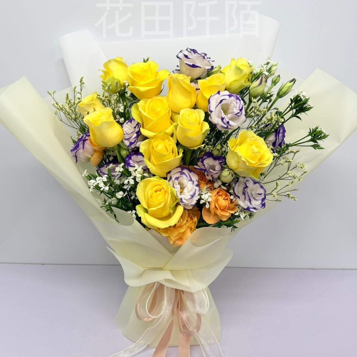 WhatsApp Image 2025 12 12 at 16.32.43 副本