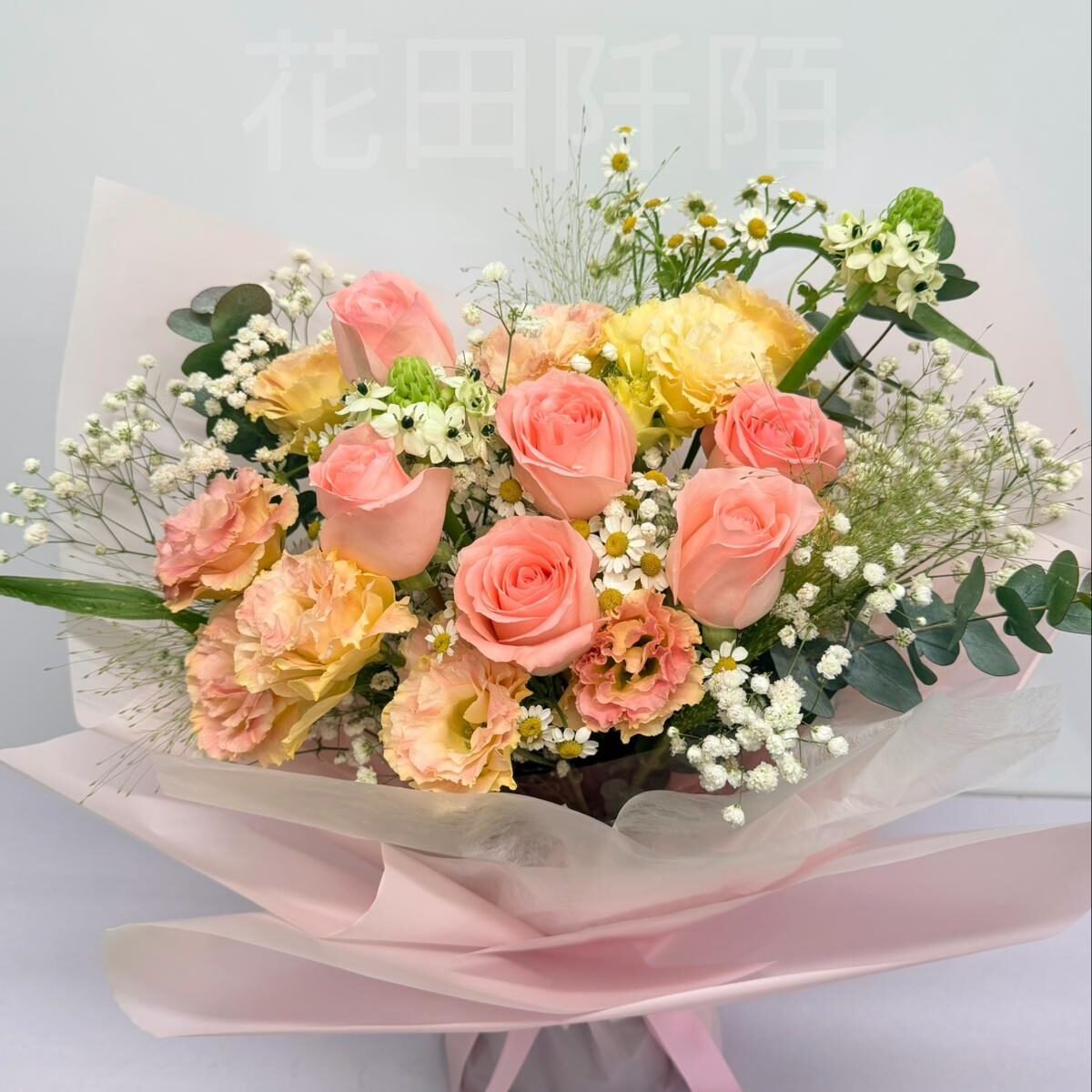 WhatsApp Image 2025 12 23 at 14.49.03 (1)