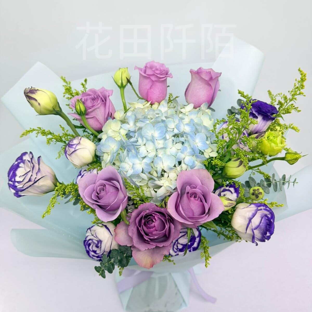 WhatsApp Image 2026 01 15 at 10.14.06 副本