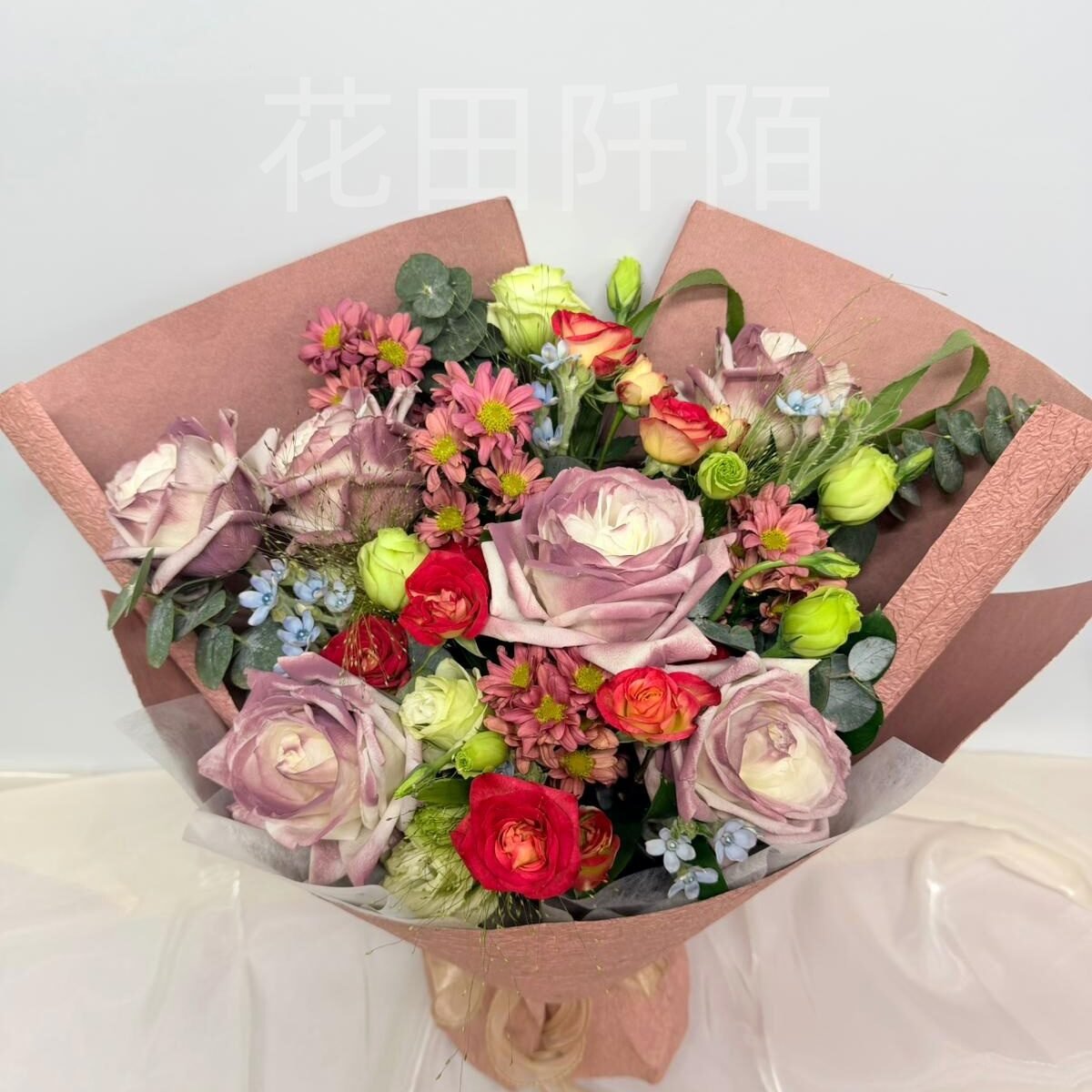 WhatsApp Image 2026 01 16 at 15.23.29 (2) 副本