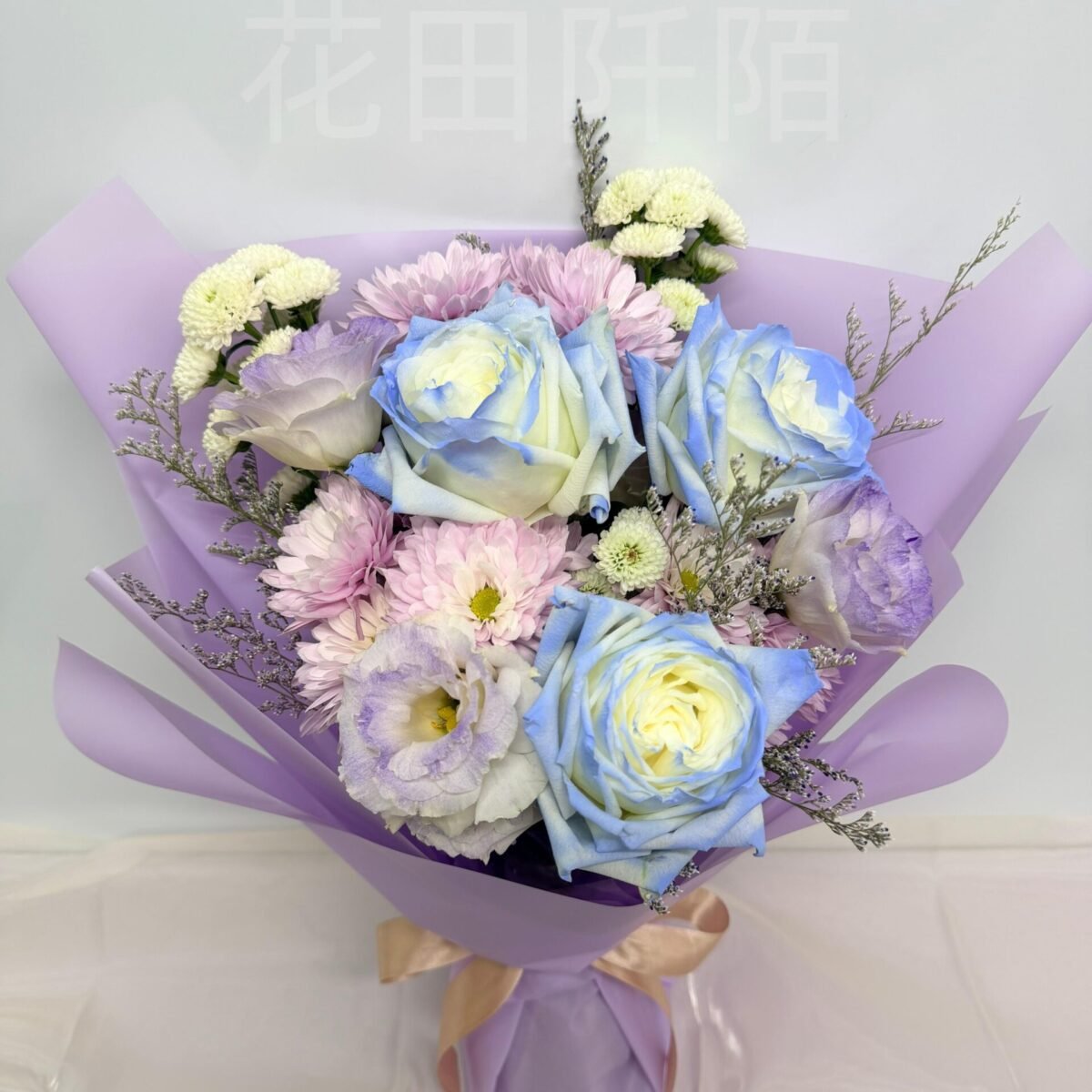 WhatsApp Image 2026 01 19 at 11.37.30 副本