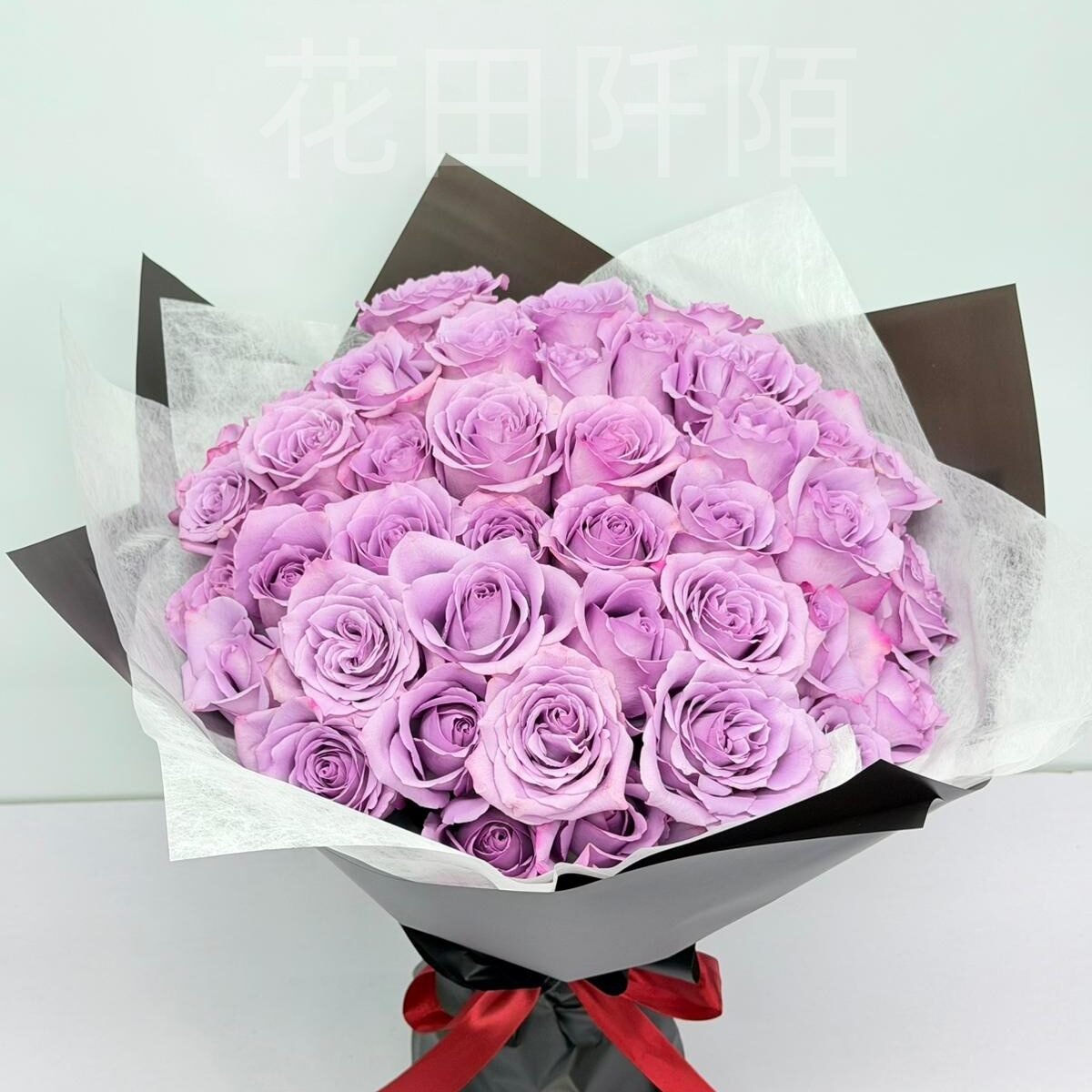 WhatsApp Image 2026 02 05 at 17.40.14 副本