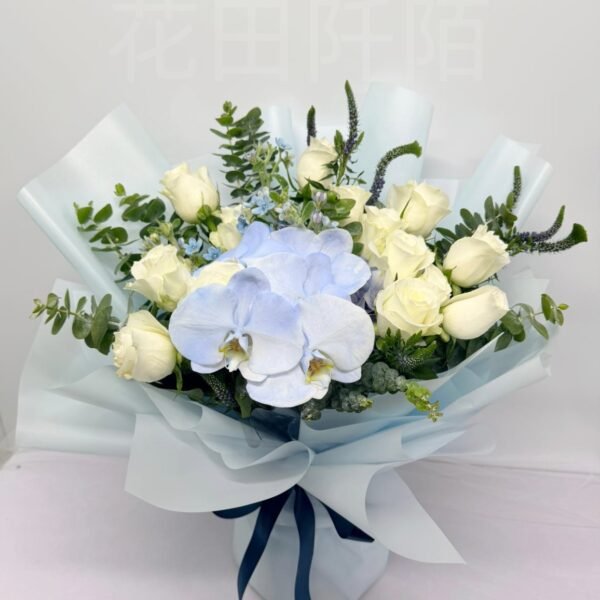 WhatsApp Image 2026 05 20 at 18.03.32 副本1