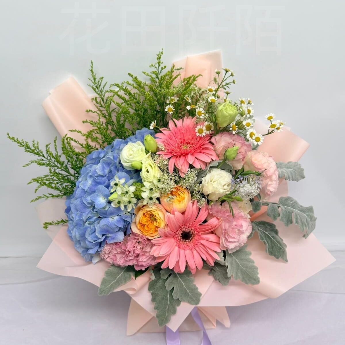 WhatsApp Image 2026 05 23 at 09.48.16 副本