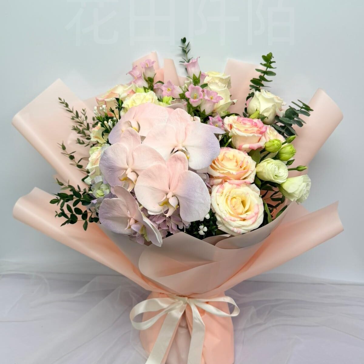 WhatsApp Image 2026 05 23 at 17.58.12 副本